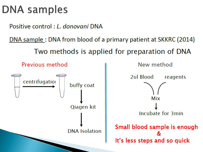 従来法とRealTime PCRの比較